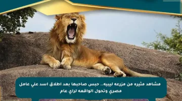 🔴 مشاهد مثيرة من مزرعة ليبية.. حبس صاحبها بعد إطلاق أسد على عامل مصري وتحول الواقعة لرأي عام